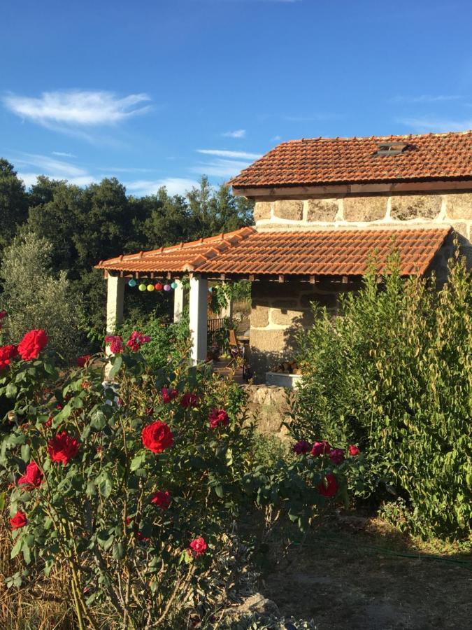 올리베이라두오스피탈 Quinta Do Cobral 빌라 외부 사진