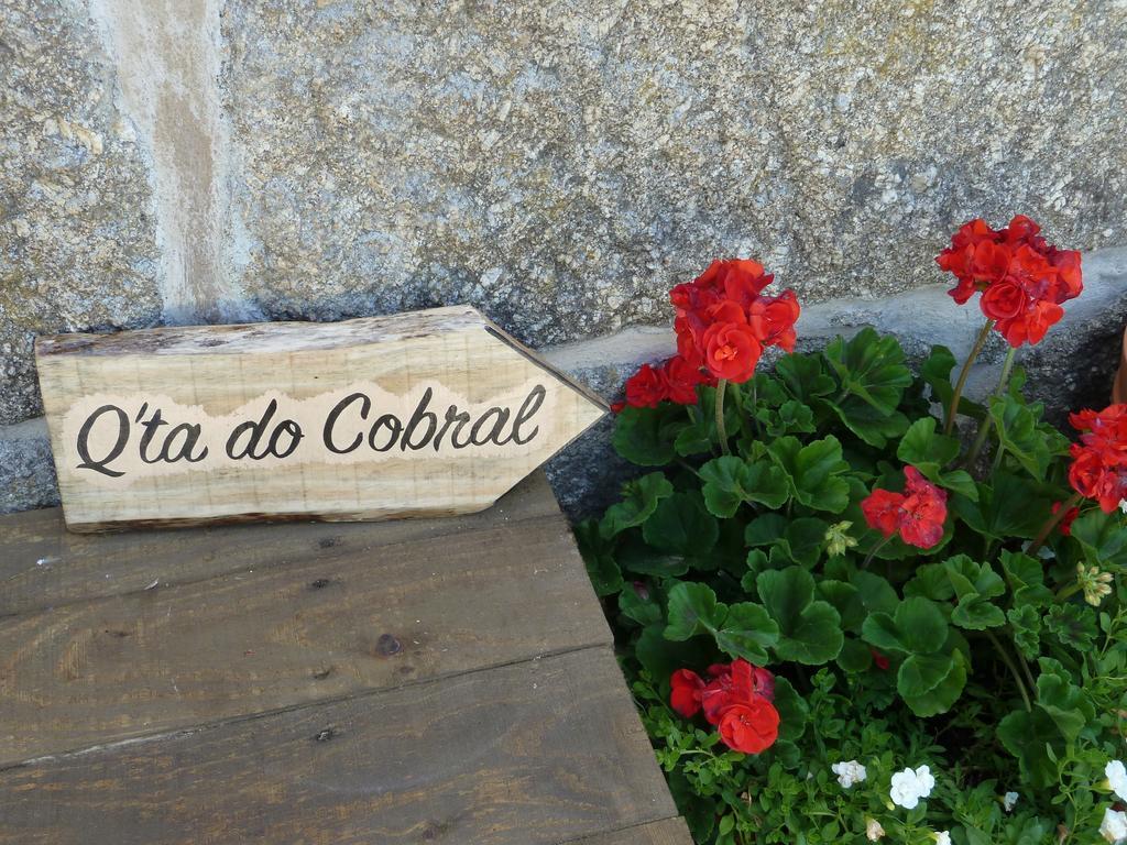 올리베이라두오스피탈 Quinta Do Cobral 빌라 외부 사진